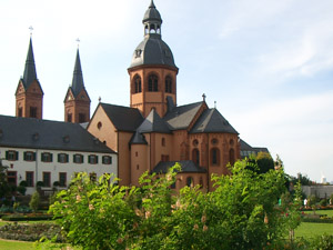 Indigostrauch (vorne) im Färbegarten Indigostrauch (vorne) im Färbegarten