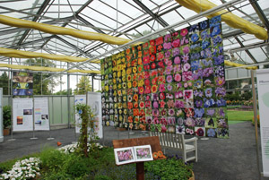 Interner Link zu Impressionen von der Sonderausstellung 'Farbe in der Natur' Sonderausstellung im Plamengarten