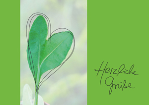 Datenblatt - Eigene Produkte Postkarte mit Waidherzblatt