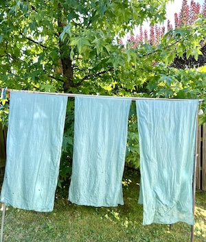 Datenblatt Waidblaufrberei