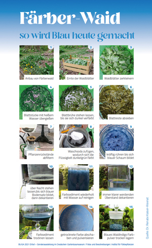 Poster mit Waidindigo