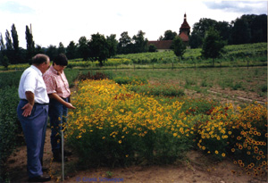 Färbegarten auf dem Geilweilerhof