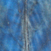 Behandeltes Waidblatt mit sichtbar gewordenem Indigo