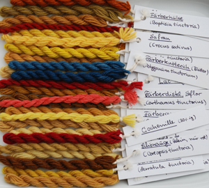 Anklicken um größeres Bild in neuem Fenster zu öffnen Vergleichsfärbungen - Teil 1