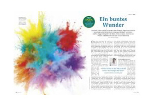 Naturfarben in der 'natur'