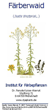 Faltblatt F�rberwaid